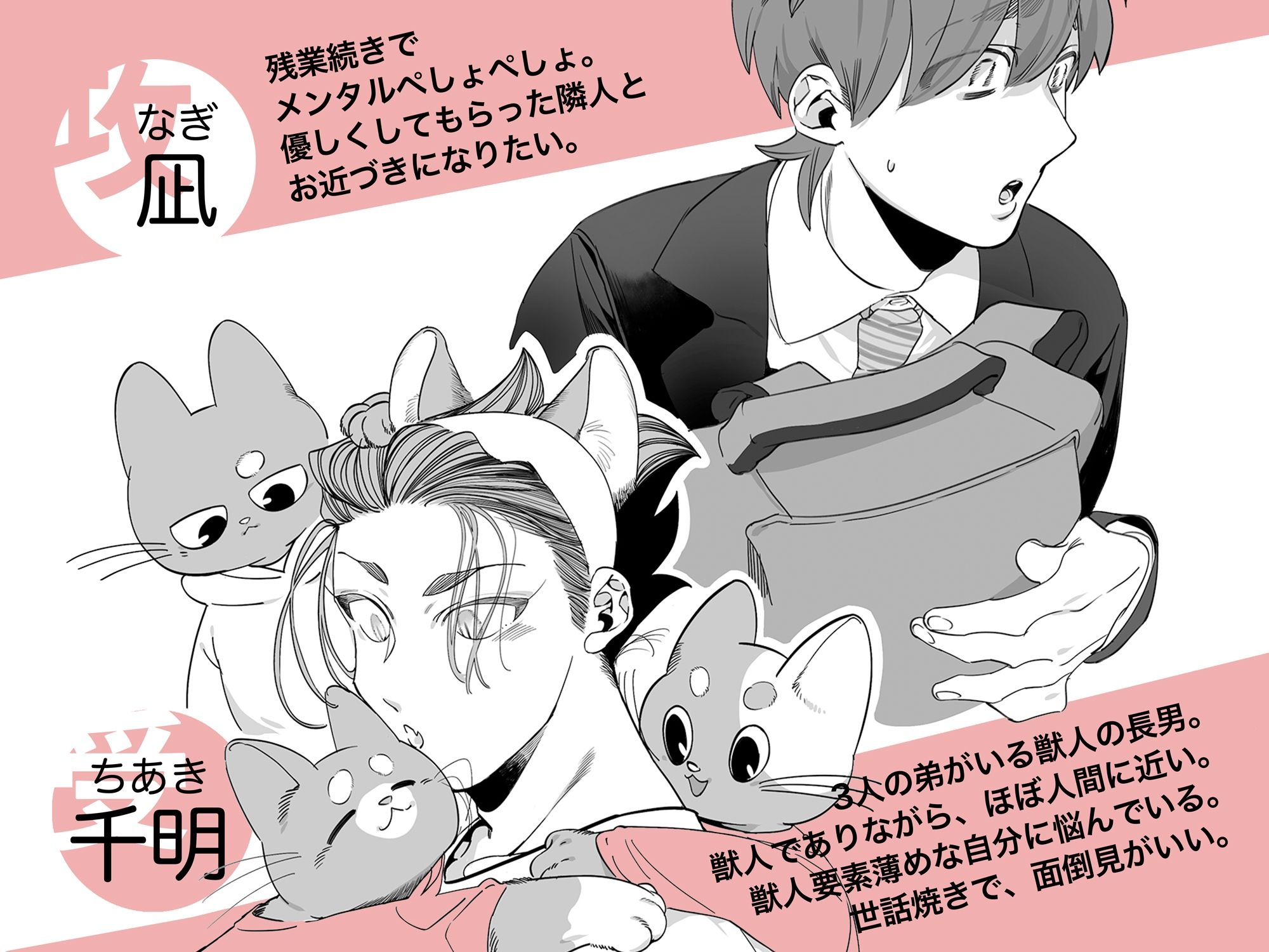 雄ネコお兄さん 画像1