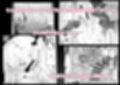 全裸学校教育試し読み4ページ