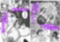 垂れ長乳母さんはチャラ男に寝取られる試し読み4ページ
