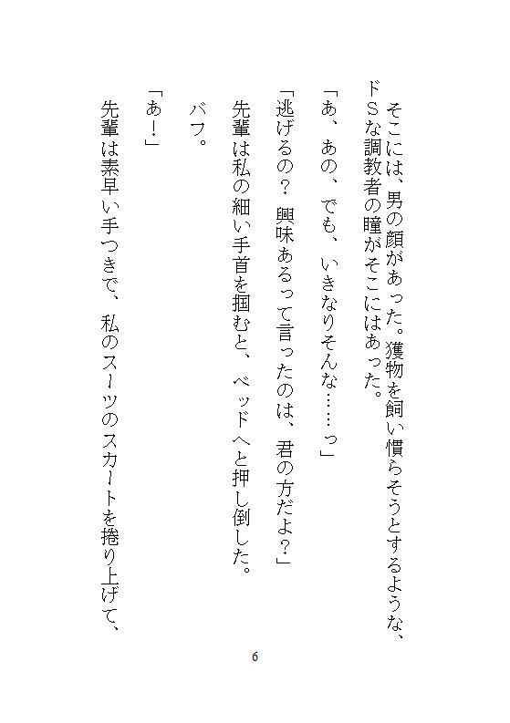 サンプル 5