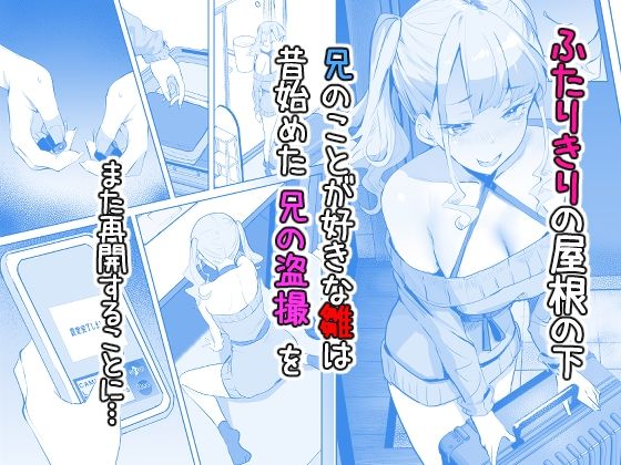 見守りカメラでお兄を視てたらあたしも視られてた話2