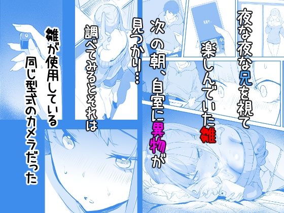 見守りカメラでお兄を視てたらあたしも視られてた話3