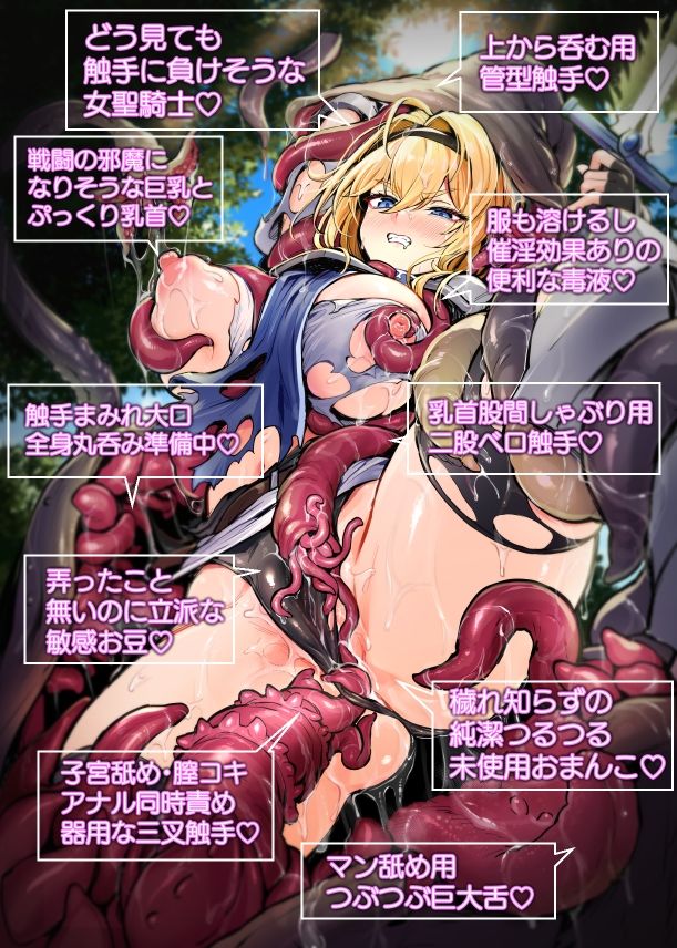 聖騎士様は丸呑み触手のナカ。6