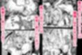聖騎士様は丸呑み触手のナカ。 サンプル画像2