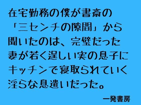 在宅勤務の僕が書斎の「三センチの隙間」から聞いたのは、完璧だった妻が若く逞しい実の息子にキッチンで寝取られていく淫らな息遣いだった。 画像1