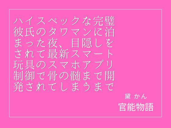 ハイスペックな完璧彼氏のタワマンに泊まった夜、目隠しをされて最新スマート玩具のスマホアプリ制御で骨の髄まで開発されてしまうまで 画像1