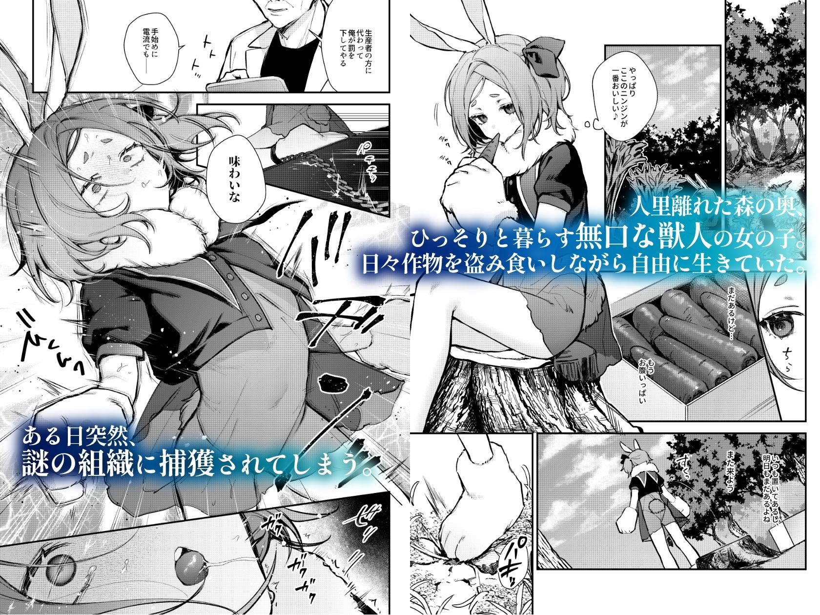 性奴●適性テスト 耐えきった先に待つ地獄 サンプル画像1