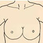 鉄の正義を解き明かして――ミニスカ刑事・秋本麗子と高原警部の極秘密会