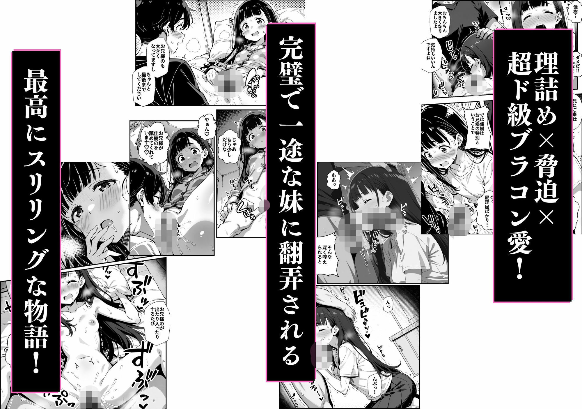 妹の策謀に嵌められて 〜佳樹はお兄様のこと本気で愛しています〜