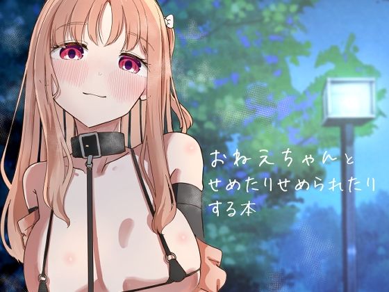 おねえちゃんとせめたりせめられたりする本の画像