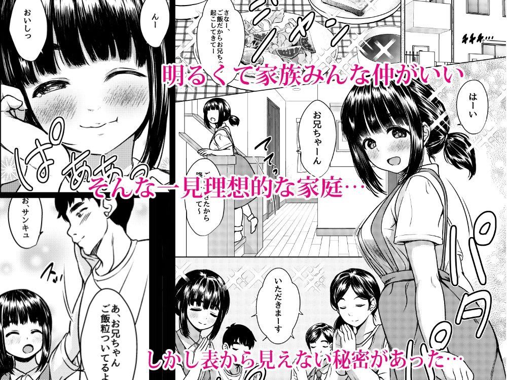 兄妹が終わる時 〜可愛く成長した妹に壊れた兄が手を出すまで〜【無料試聴】 29 兄妹が終わる時 〜可愛く成長した妹に壊れた兄が手を出すまで〜 画像1