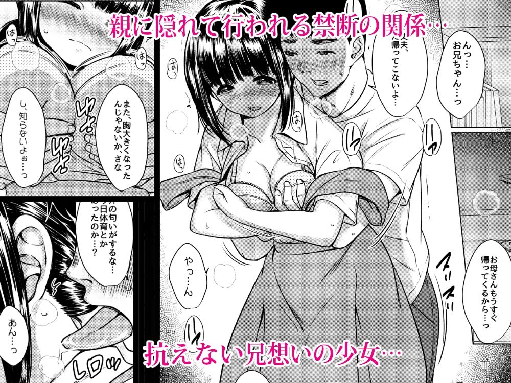 兄妹が終わる時 〜可愛く成長した妹に壊れた兄が手を出すまで〜【無料試聴】 30 兄妹が終わる時 〜可愛く成長した妹に壊れた兄が手を出すまで〜 画像2