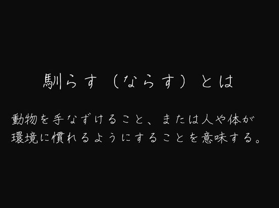 わたしを馴らすひと【途中記録】 1枚目
