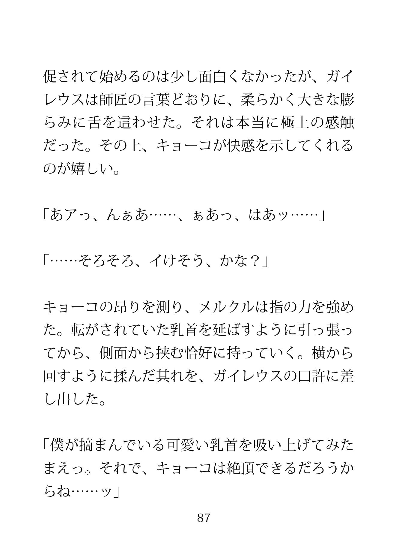 もとの世界に戻るには精液が必要です―空理の森で天才師匠とヘタレ兄弟子に挟まれるW理力増幅3P― 画像5