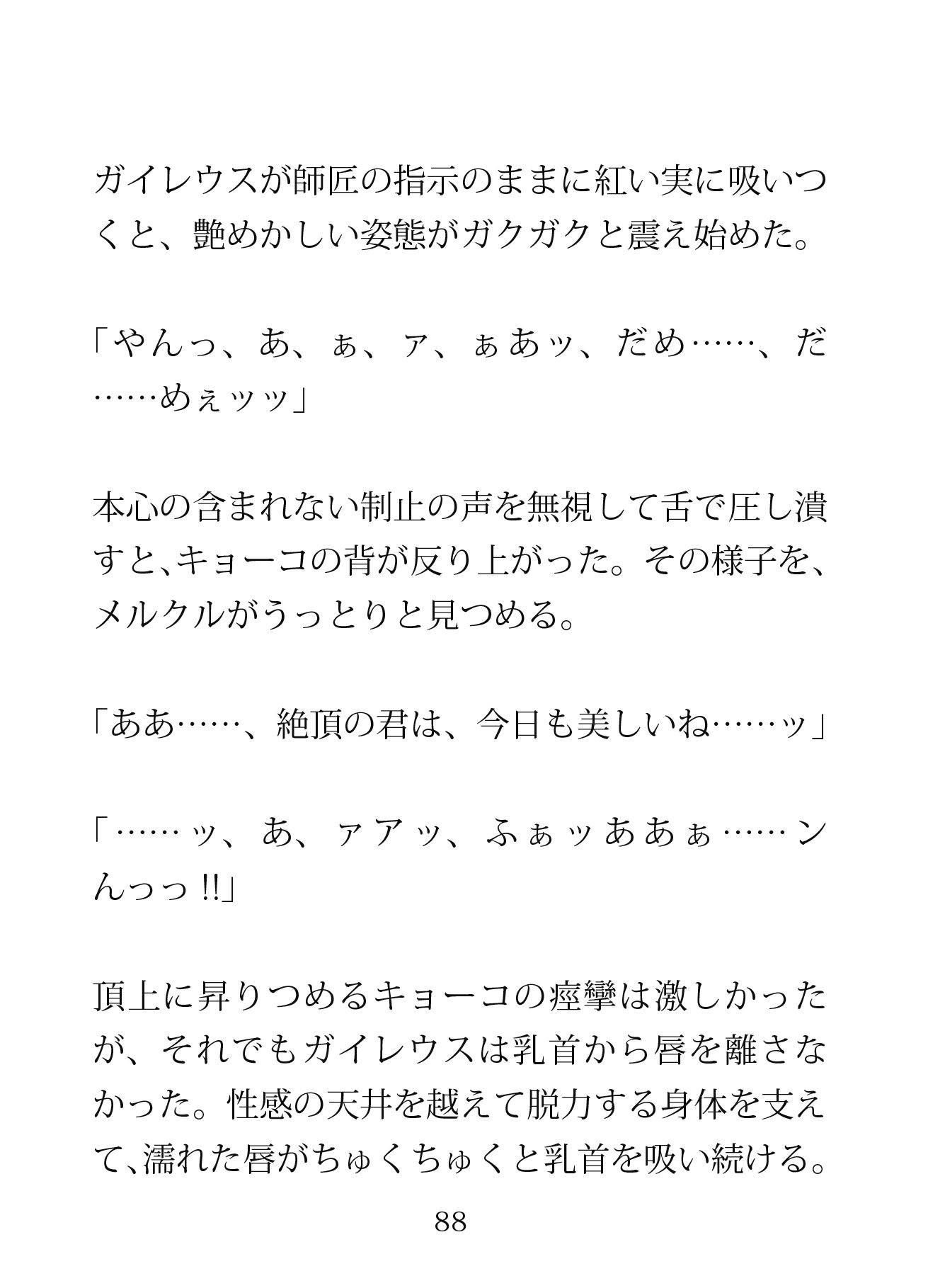 もとの世界に戻るには精液が必要です―空理の森で天才師匠とヘタレ兄弟子に挟まれるW理力増幅3P― 画像6