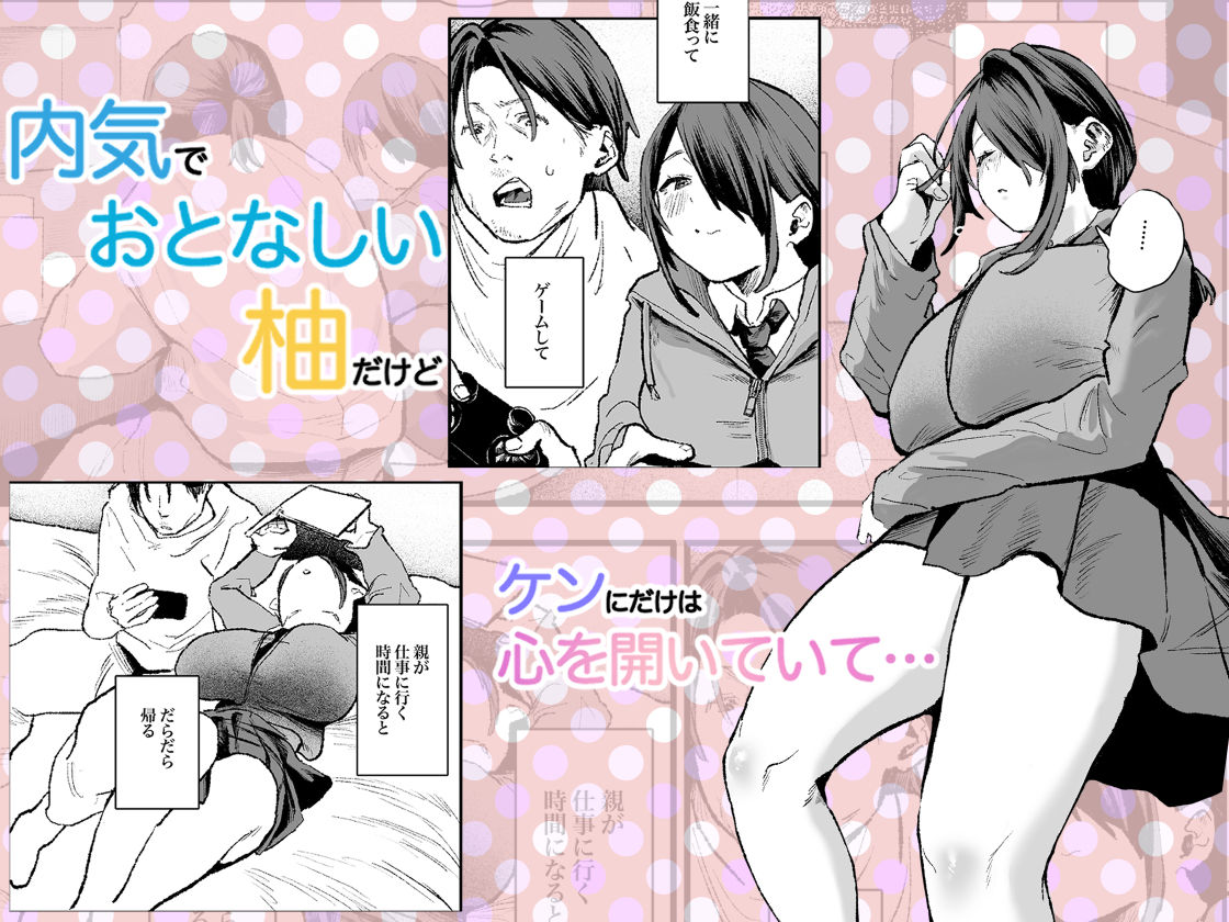 引きこもりの俺にだけ懐いている気弱な姪をオ◯ホにする話。 サンプル画像