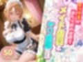 サンプル3
