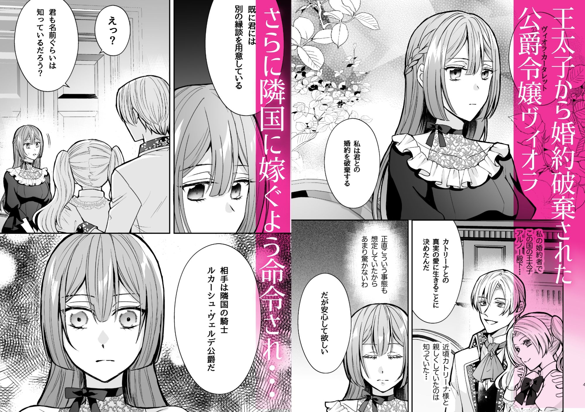 婚約破棄された令嬢は隣国の騎士に娶られる サンプル1