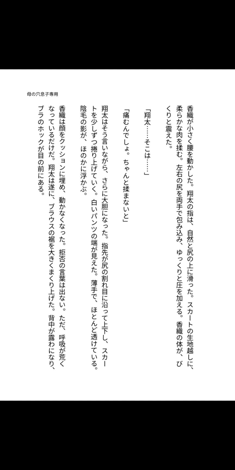 母の穴は、息子専用  〜熟母、禁忌に堕ちるまで〜
