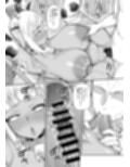 乳牛娘牧場日誌 サンプル画像8