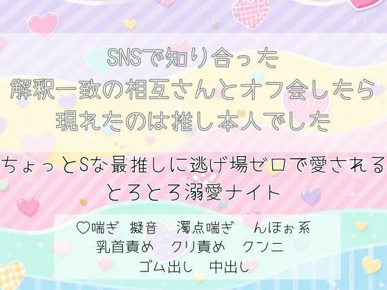SNSで知り合った解釈一致の相互さんとオフ会したら現れたのは推し本人でした。ちょっとSな最推しに逃げ場ゼロで愛される、とろとろ溺愛ナイト