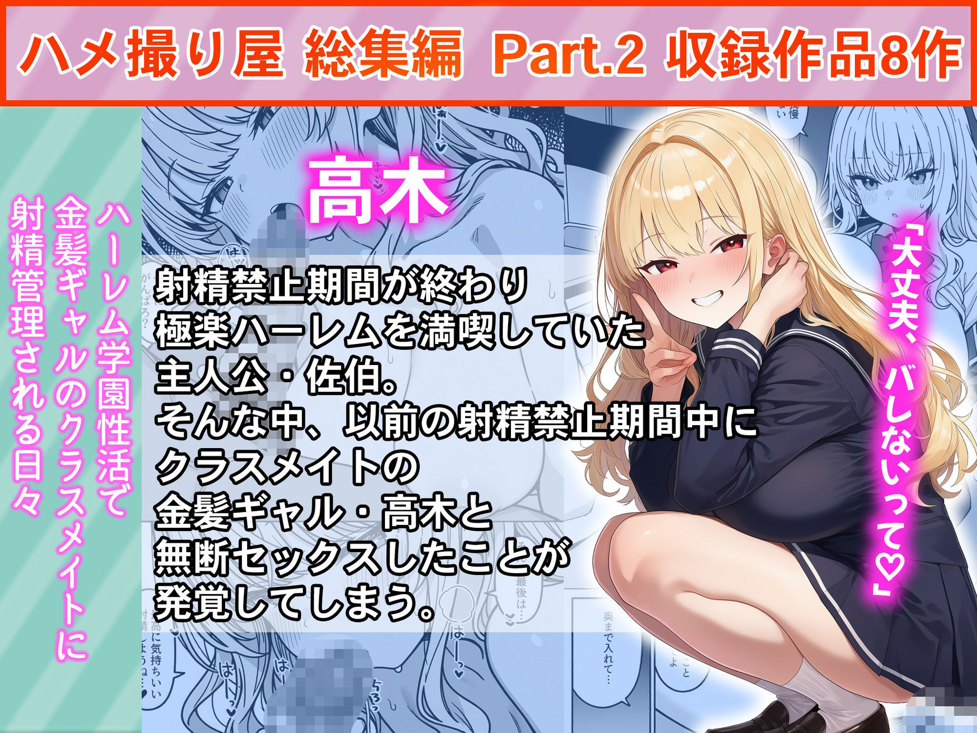 ハメ撮り屋 総集編2 画像2