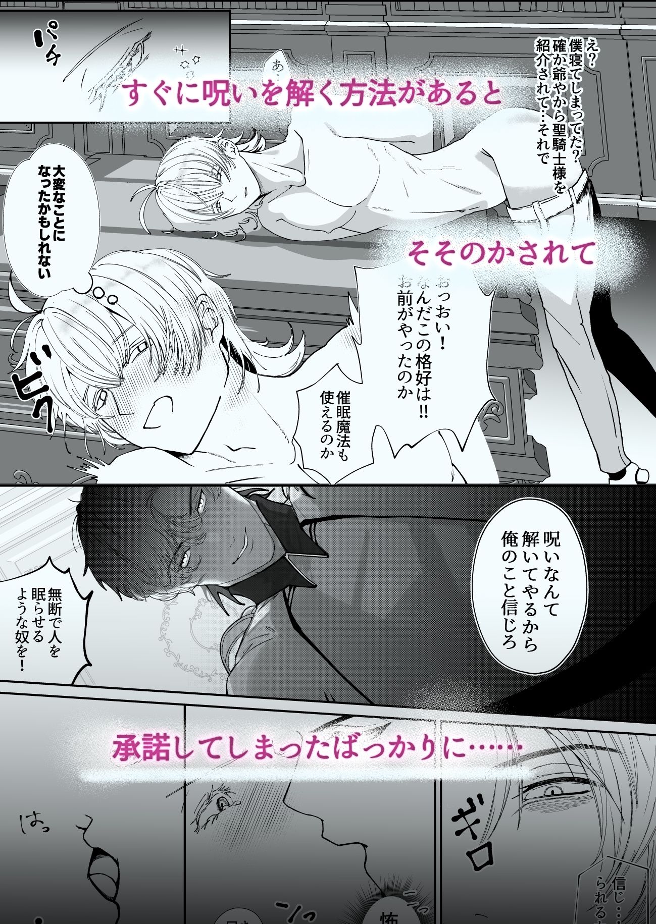 呪いにかけられたので聖騎士に解呪をお願いしたら サンプル6