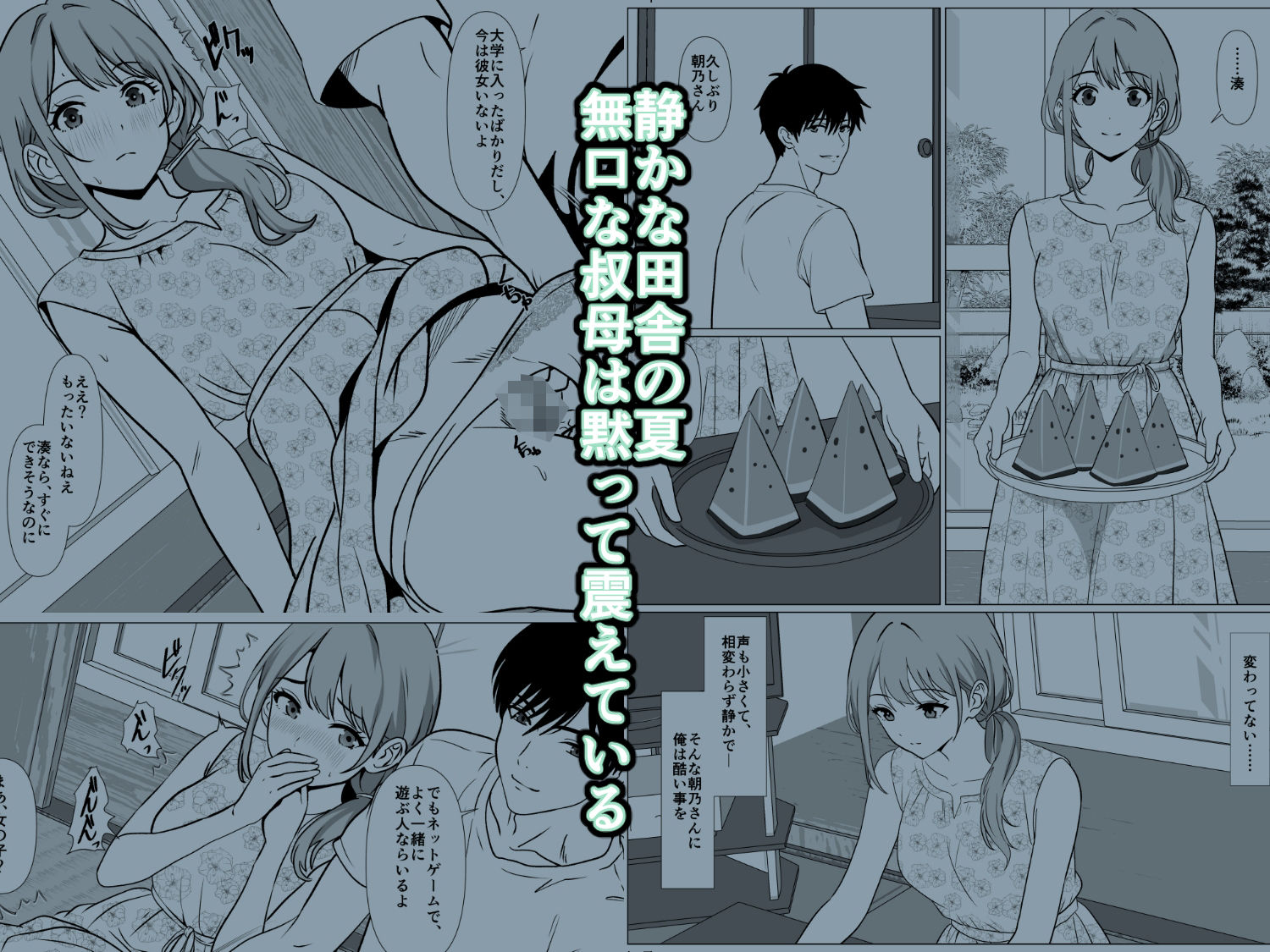 静かな夏 ― 無口な叔母 画像1