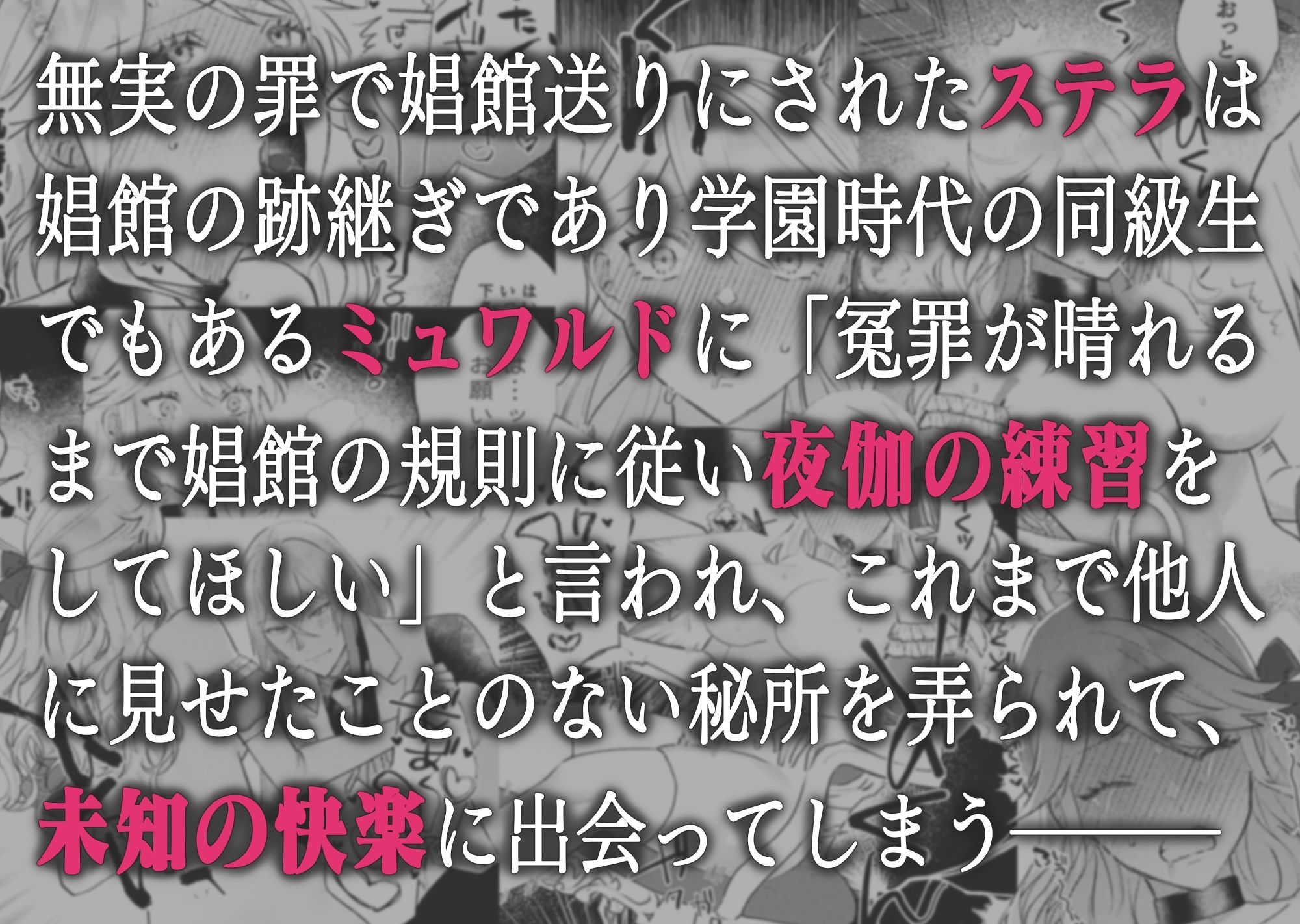 墜下の輝星2 サンプル1