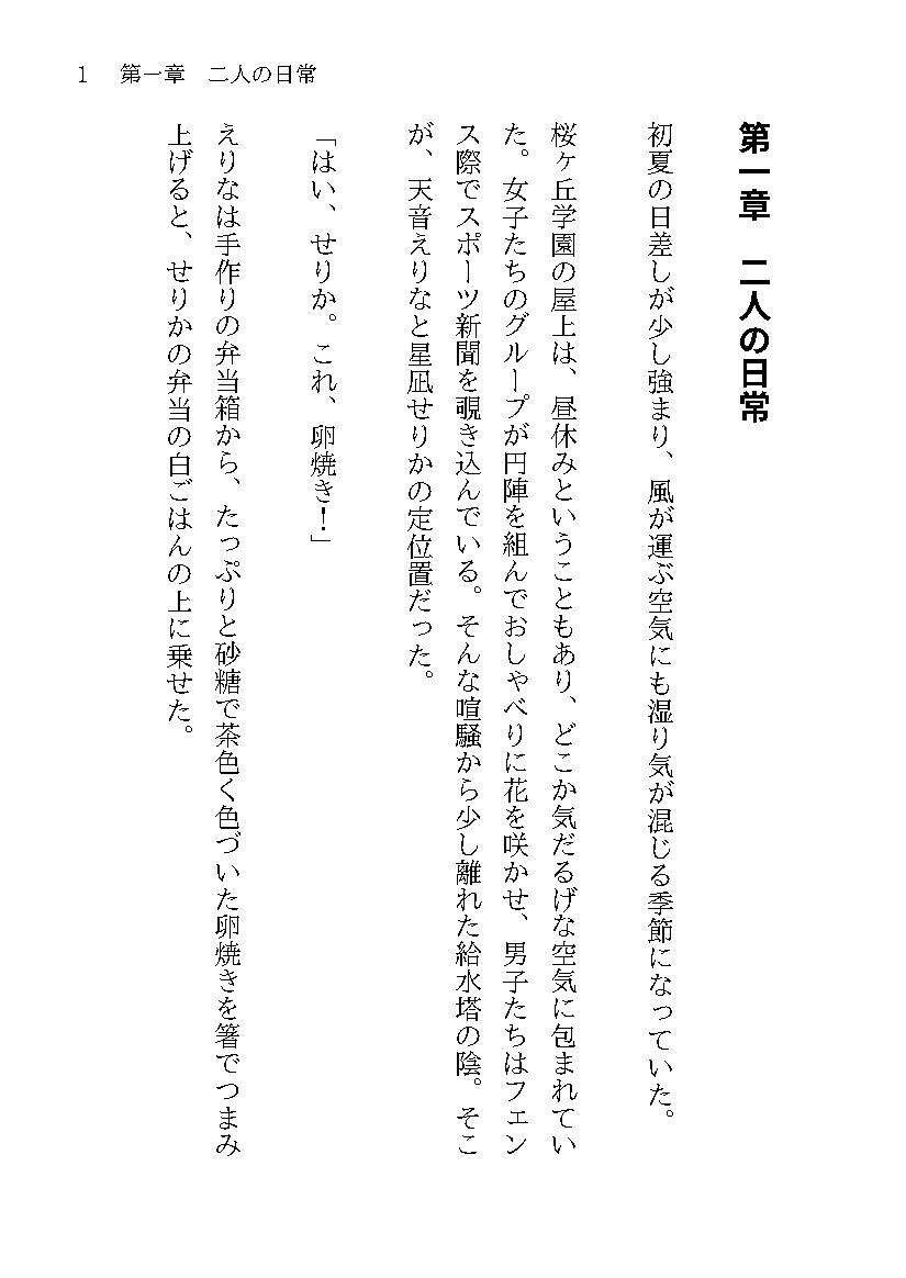 小説版 魔法戦士えりな＆せりか 終わらない機械責め サンプル画像 6