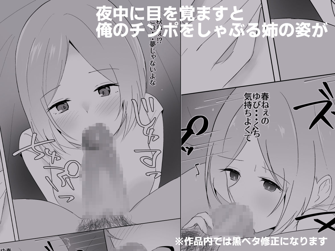 姉がよなよなフェラしてくる 画像3
