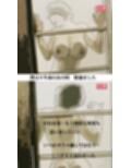 親戚で一番可愛い叔母さんで童貞を卒業したい 1 サンプル画像3