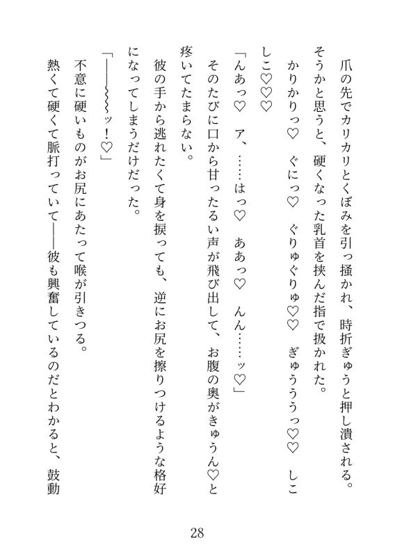 イケメン巨根と流されえっち〜軽い気持ちでついて行ったらぐずぐずにされました〜 サンプル2