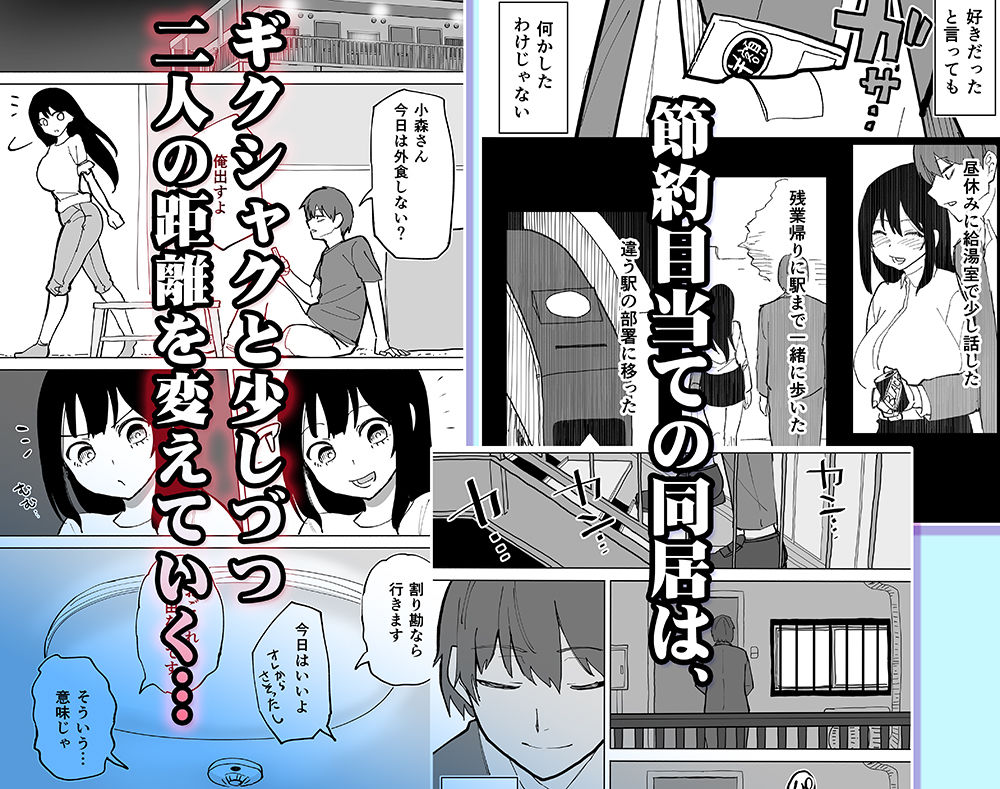 家賃を半分にしただけ サンプル画像