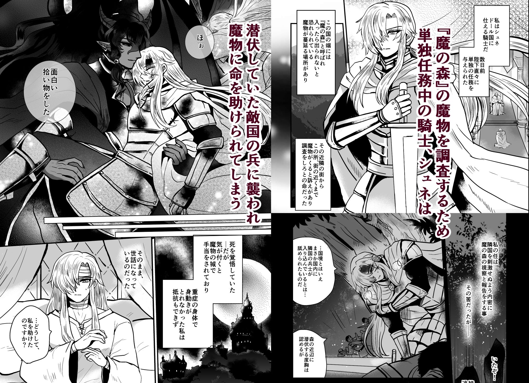 騎士は花嫁になりました サンプル1