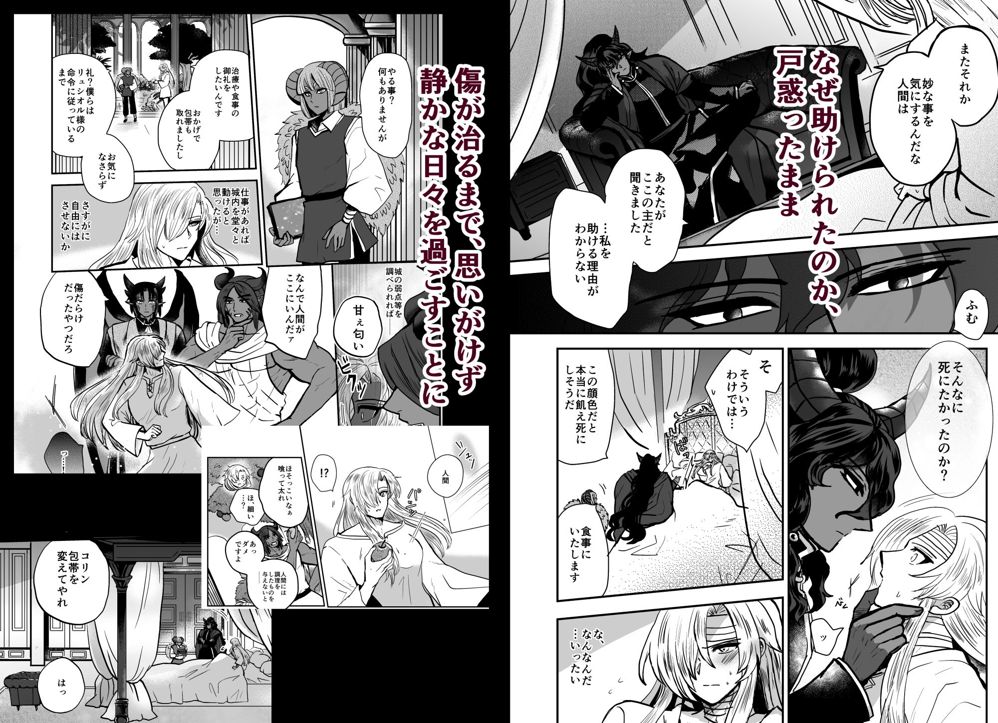 騎士は花嫁になりました サンプル2