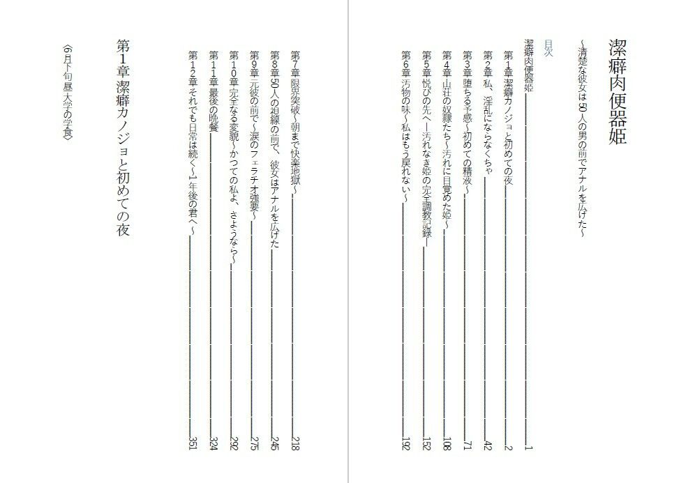 潔癖肉便器姫〜清楚な彼女は50人の男の前でアナルを広げた〜 サンプル1