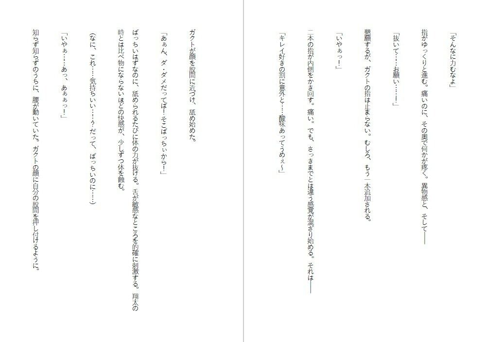 潔癖肉便器姫〜清楚な彼女は50人の男の前でアナルを広げた〜 サンプル3