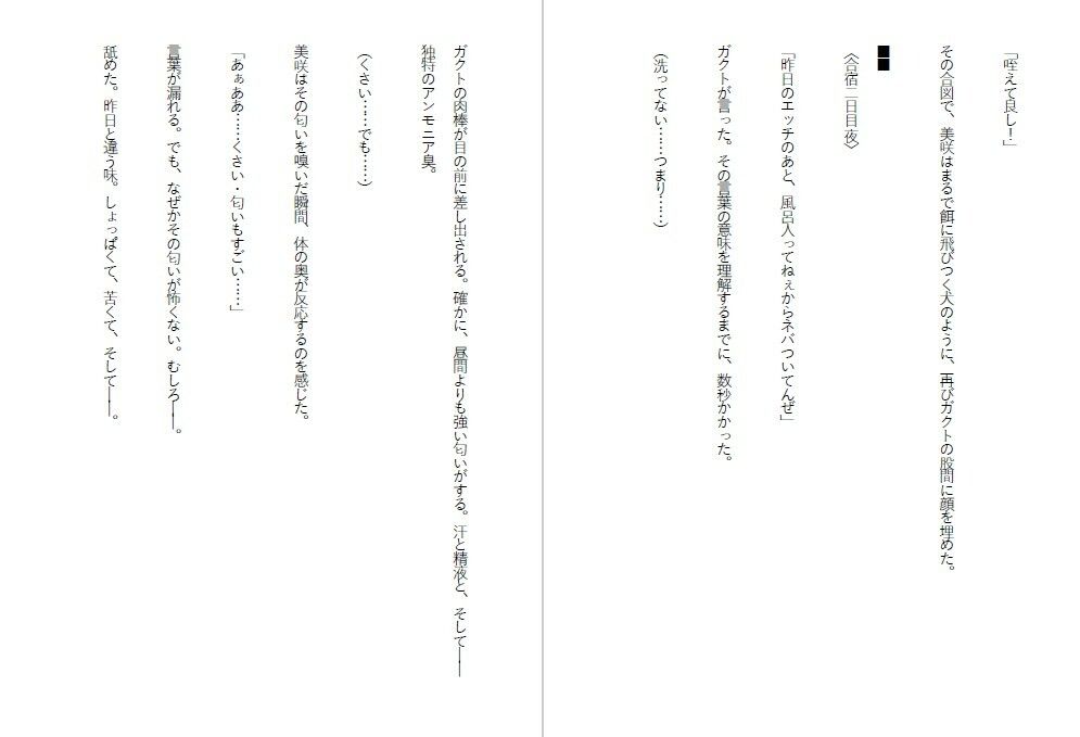 潔癖肉便器姫〜清楚な彼女は50人の男の前でアナルを広げた〜 サンプル4