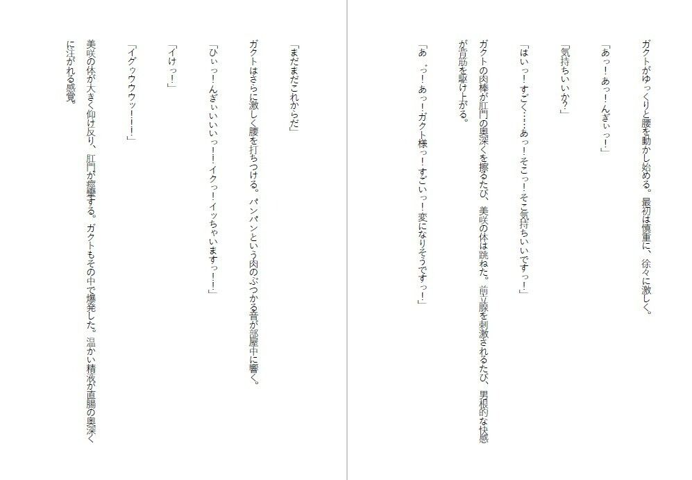 潔癖肉便器姫〜清楚な彼女は50人の男の前でアナルを広げた〜 サンプル6