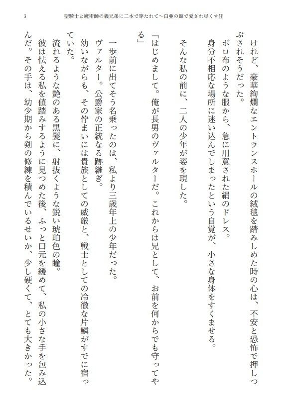 【3P・二本挿し】聖騎士と魔術師の義兄弟に二本で穿たれて〜白亜の館で愛され尽くす狂愛監禁性活 サンプル2