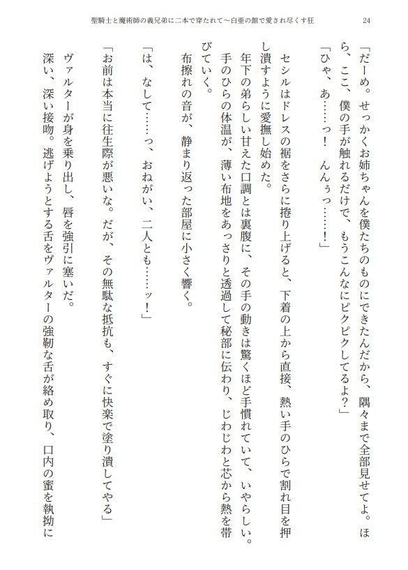 【3P・二本挿し】聖騎士と魔術師の義兄弟に二本で穿たれて〜白亜の館で愛され尽くす狂愛監禁性活 サンプル5