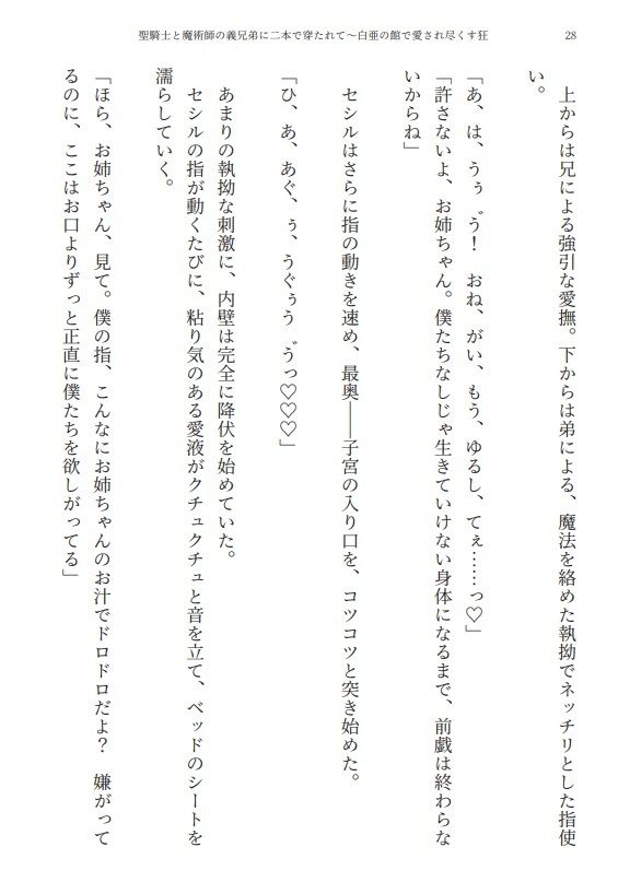 【3P・二本挿し】聖騎士と魔術師の義兄弟に二本で穿たれて〜白亜の館で愛され尽くす狂愛監禁性活 サンプル6
