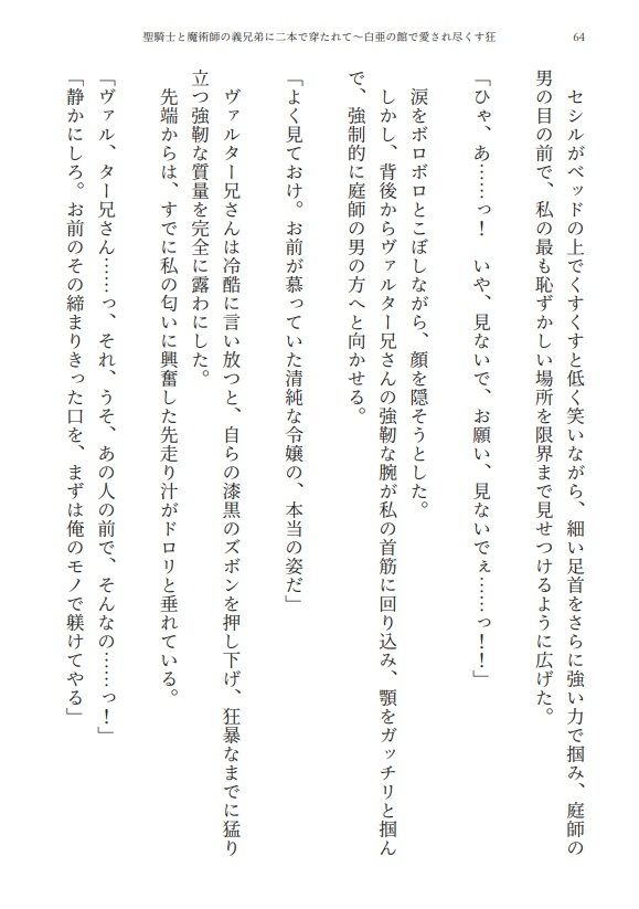 【3P・二本挿し】聖騎士と魔術師の義兄弟に二本で穿たれて〜白亜の館で愛され尽くす狂愛監禁性活 サンプル8