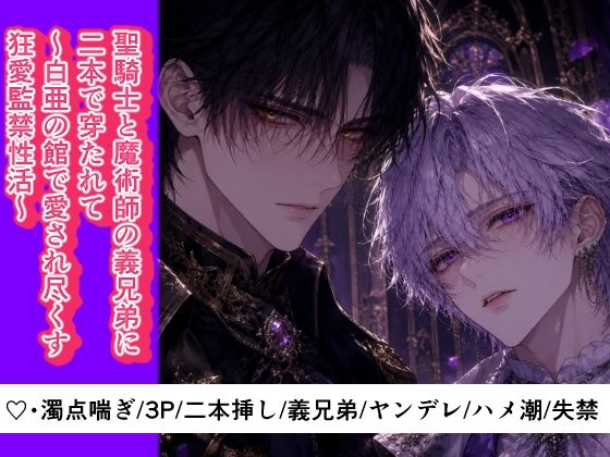 【3P・二本挿し】聖騎士と魔術師の義兄弟に二本で穿たれて〜白亜の館で愛され尽くす狂愛監禁性活
