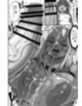 フタナリチンポ47cm！？試し読み8ページ