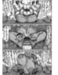 フタナリチンポ47cm！？試し読み10ページ
