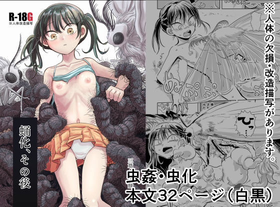 蛹化、その後の画像