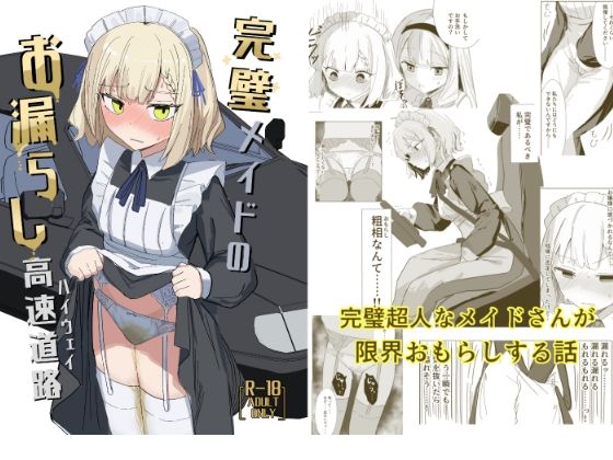 完璧メイドのお漏らし高速道路