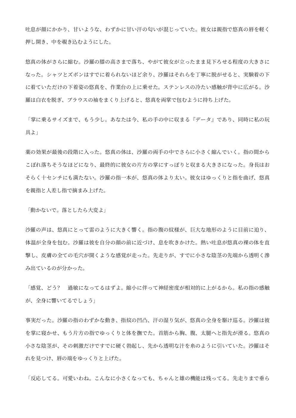 縮小実験 ―氷室沙羅の玩具― 画像4